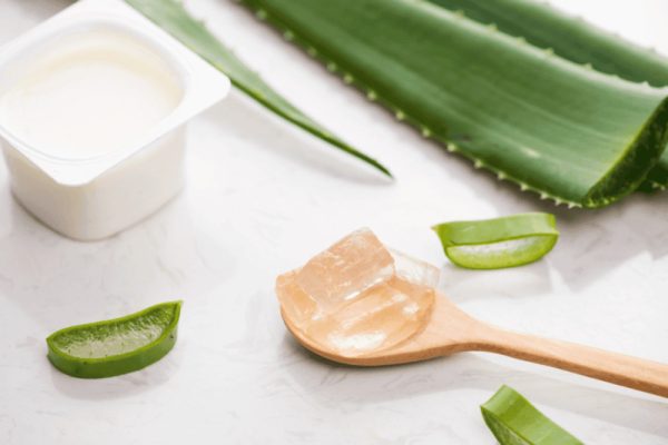 Cách làm sữa chua nha đam thơm ngon, sánh mịn tại nhà