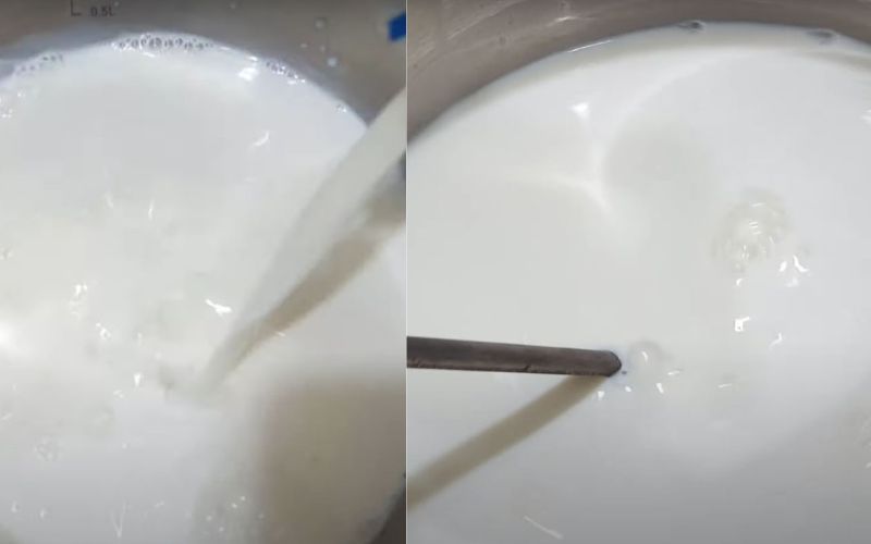 Sau khi cho sữa tươi vào nồi và bật bếp, bạn cần khuấy đều