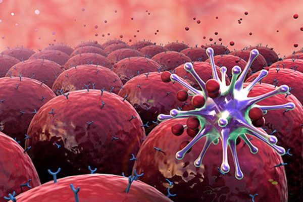 Hệ Miễn Dịch Bẩm Sinh – Tuyến Phòng Thủ Đầu Tiên Giúp Bạn Chống Lại Vi Khuẩn Và Virus