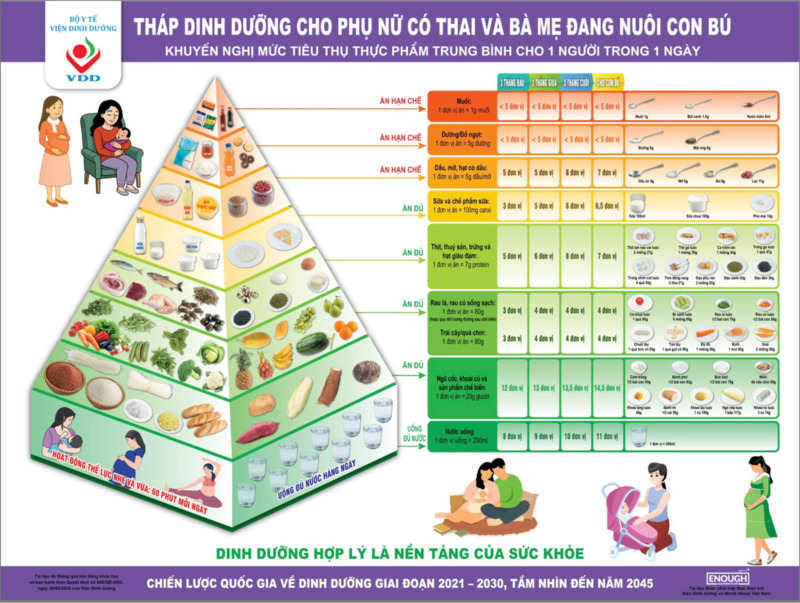 Việc tuân thủ tháp dinh dưỡng giúp mẹ duy trì sức khỏe và thai nhi phát triển khỏe mạnh Tháp dinh dưỡng cho bà bầu