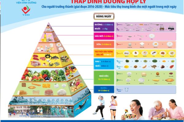 Tháp Dinh Dưỡng Cho Người Cao Tuổi: 6 Nhóm Thực Phẩm Cần Thiết Nhất