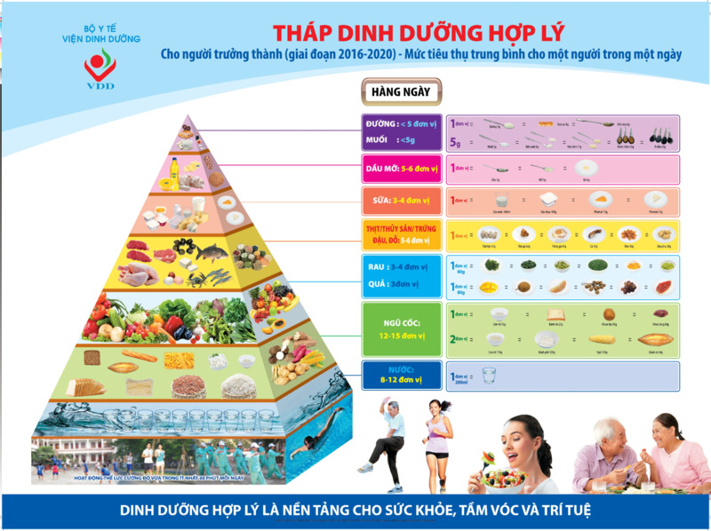 Tháp dinh dưỡng hợp lý cho người cao tuổi