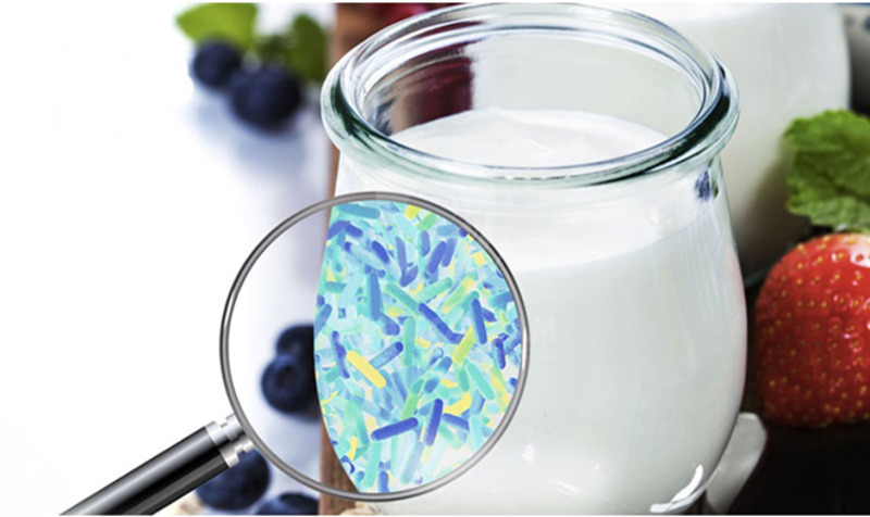 Ăn sữa chua đúng thời điểm thúc đẩy vai trò hệ miễn dịch và hấp thu canxi