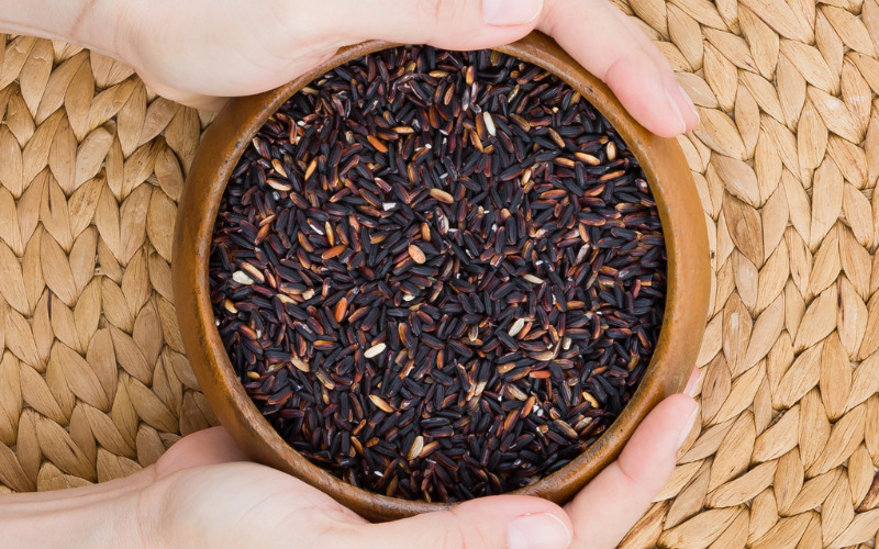 Gạo nếp cẩm chứa hàm lượng Anthocyanin dồi dào