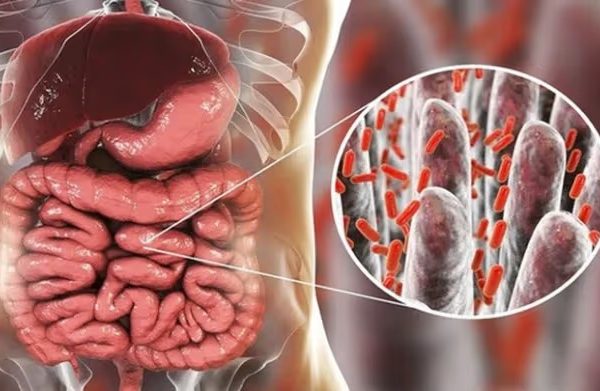 Vitamin D3 Có Tác Dụng Gì? 5+ Lợi Ích Bất Ngờ Của Vitamin D3