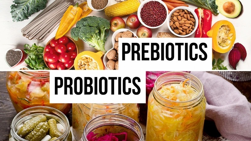 Cân bằng vi sinh đường ruột bằng probiotics, prebiotics duy trì tiêu hóa khỏe mạnh