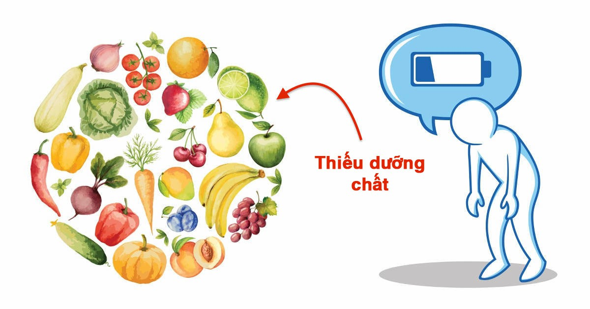 Cung cấp dưỡng chất thiết yếu cho cơ thể khỏe mạnh