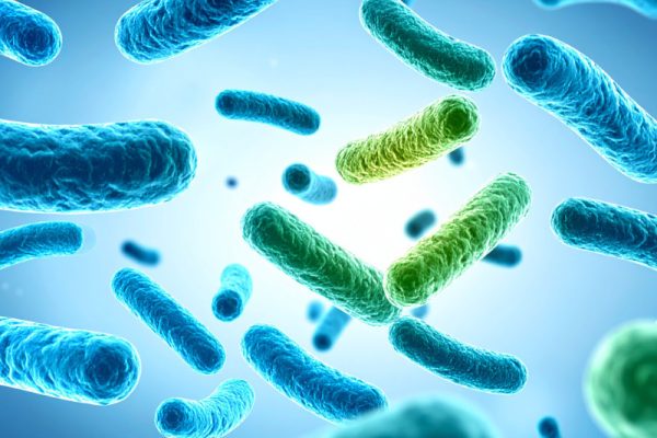 Bổ Sung Lợi Khuẩn Đường Ruột Cho Người Lớn Hiệu Quả