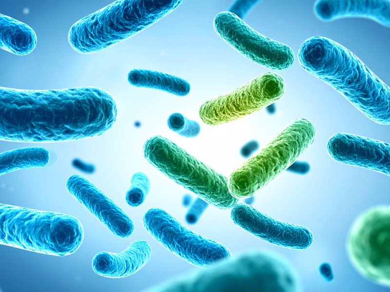 Lợi khuẩn đường ruột giúp cân bằng vi sinh và hỗ trợ tiêu hóa