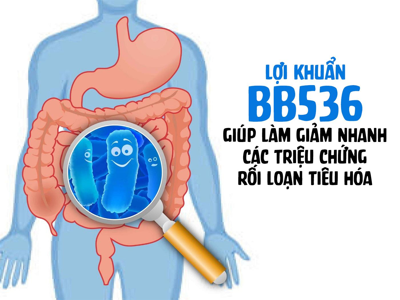 Lợi khuẩn giúp ngăn ngừa và điều trị rối loạn tiêu hóa hiệu quả