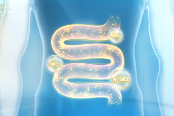 Lợi khuẩn và vai trò đối với hệ tiêu hóa: Những điều cần biết