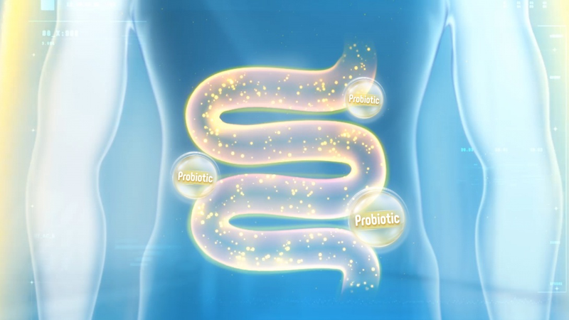 Lợi khuẩn tác động đến trục ruột – phổi, hỗ trợ sức khỏe hô hấp