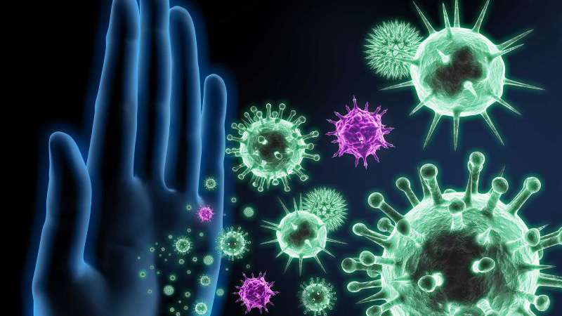 Lợi khuẩn tăng cường miễn dịch, phòng ngừa nhiễm trùng và tiêu chảy