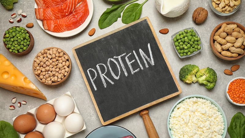Tiêu thụ đủ protein giúp duy trì sức khỏe trong đó có hệ miễn dịch