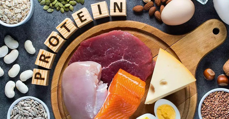 Protein - dưỡng chất thiết yếu giúp tái tạo mô liên kết
