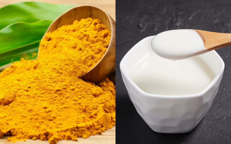 Sữa chua không đường kết hợp với tinh bột nghệ