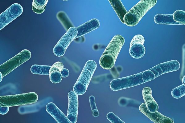 Men Vi Sinh Là Gì? Công Dụng và Cách Dùng An Toàn Cho Sức Khỏe