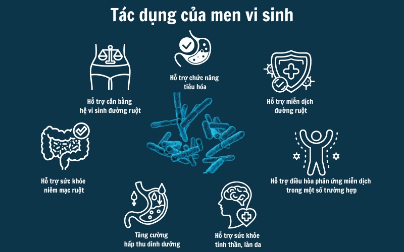 Tác dụng của men vi sinh