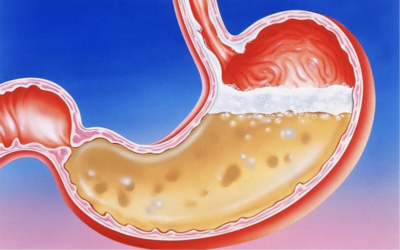 Men tiêu hóa là loại men được tiết ra từ nhiều tuyến tiêu hoá khác nhau trong cơ thể