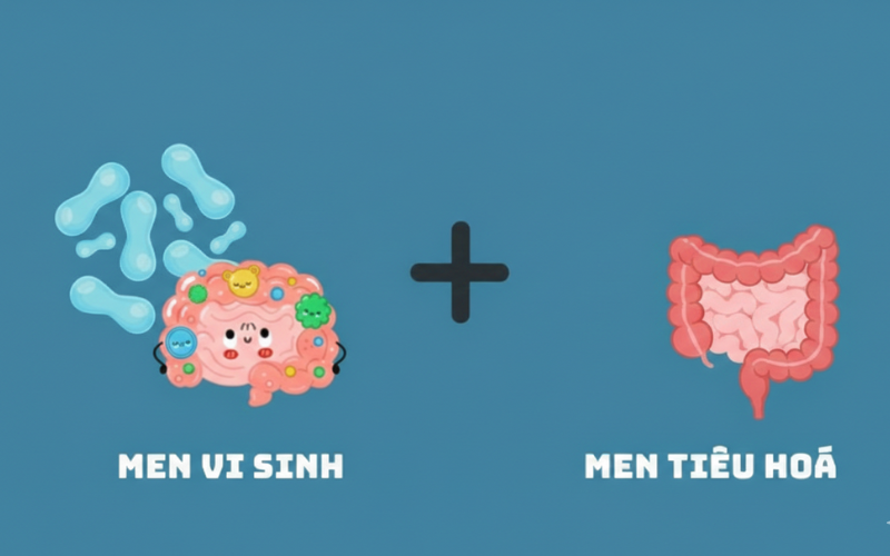 Không nên sử dụng men tiêu hoá trong thời gian dài