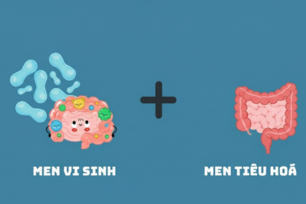 Men Vi Sinh Và Men Tiêu Hóa: Khác Nhau Thế Nào, Dùng Sao Cho Đúng