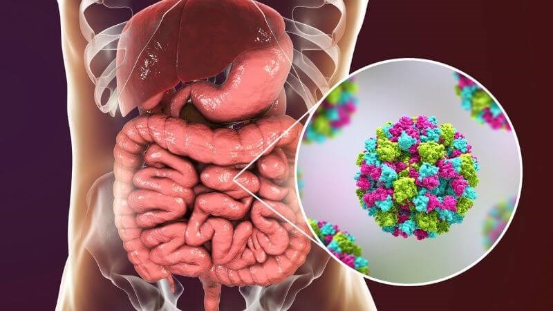 Ăn sữa chua hết hạn có thể gây rối loạn tiêu hóa, ngộ độc