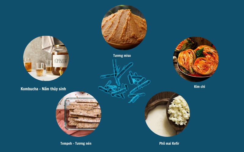 Bổ sung men vi sinh qua các thực phẩm lên men