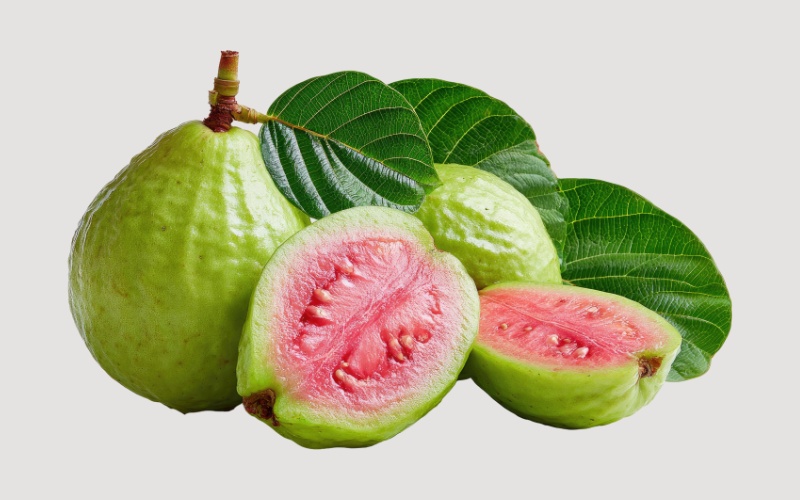 Ổi giàu vitamin C và chất xơ tốt cho hệ miễn dịch mẹ bầu