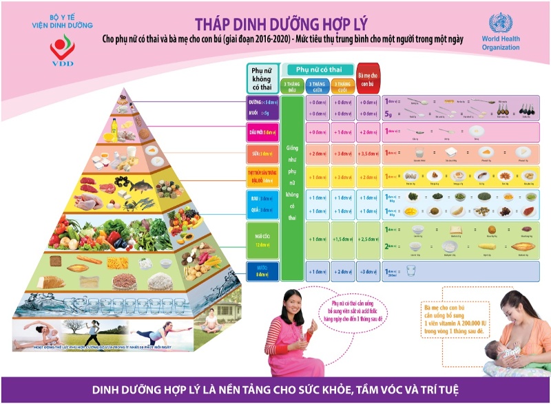 Tháp dinh dưỡng hợp lý cho phụ nữ mang thai