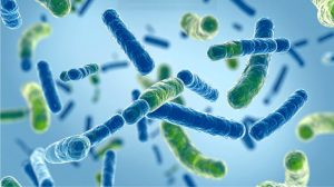 Suy Giảm Miễn Dịch Tuổi Trung Niên: Nguyên Nhân Và Giải Pháp Dinh Dưỡng Toàn Diện