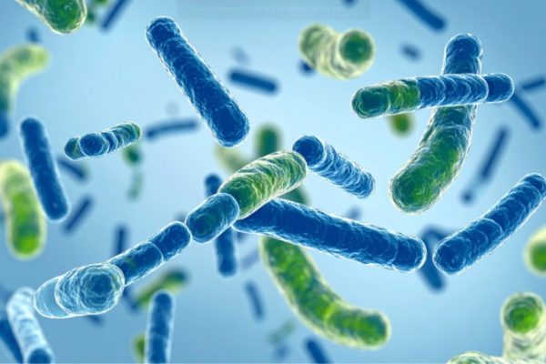 Suy Giảm Miễn Dịch Tuổi Trung Niên: Nguyên Nhân Và Giải Pháp Dinh Dưỡng Toàn Diện