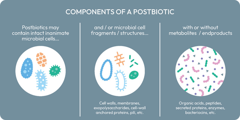 Postbiotics có nhiều lợi ích với sức khỏe Postbiotics có nhiều lợi ích với sức khỏe