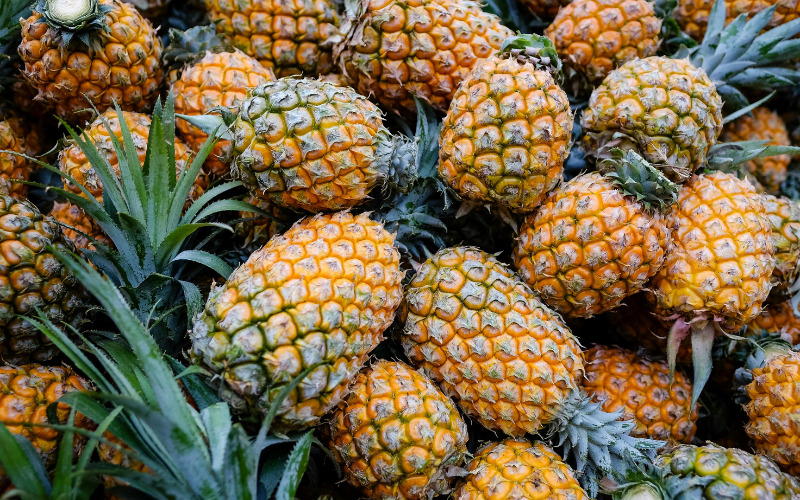 Dứa Dứa